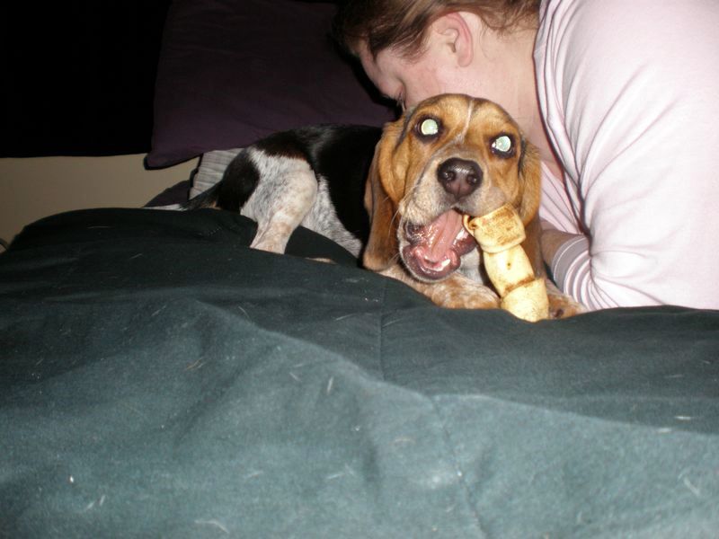 zoey2011-013.JPG