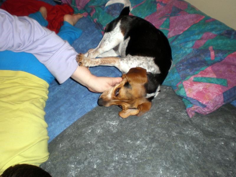 zoey2011-027.JPG