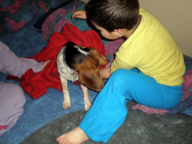 zoey2011-028.JPG