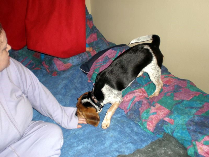 zoey2011-029.JPG