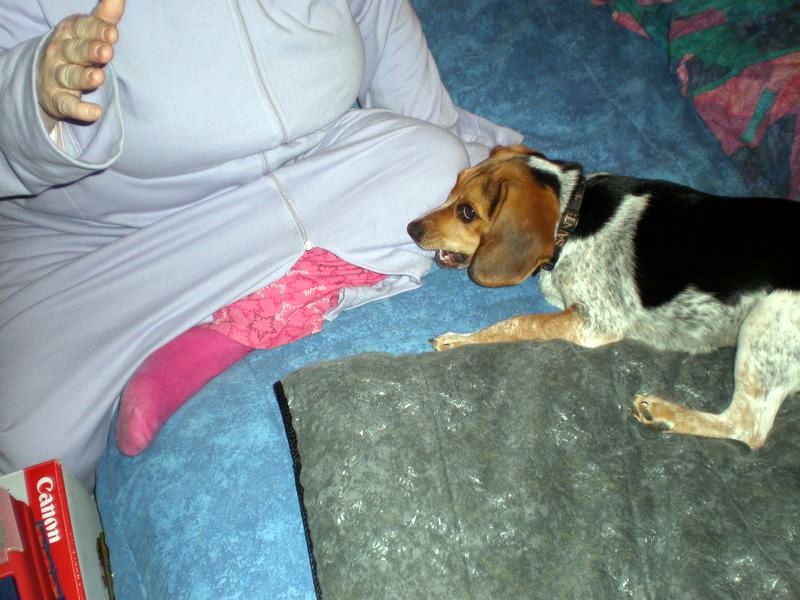 zoey2011-030.JPG