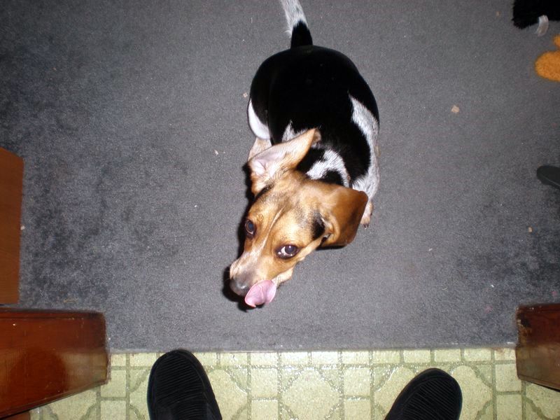 zoey2011-037.JPG