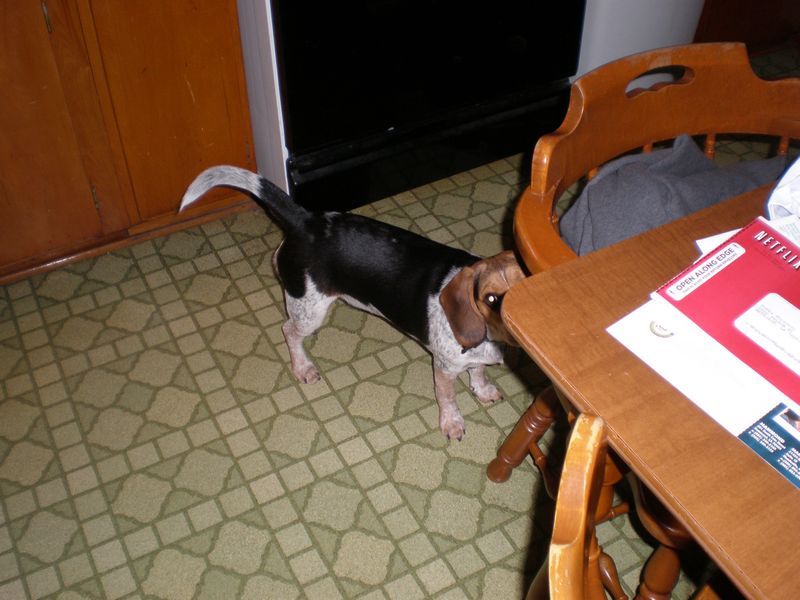 zoey2011-038.JPG