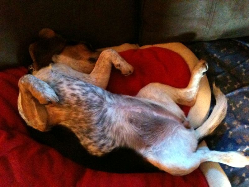 zoey2011-039.JPG