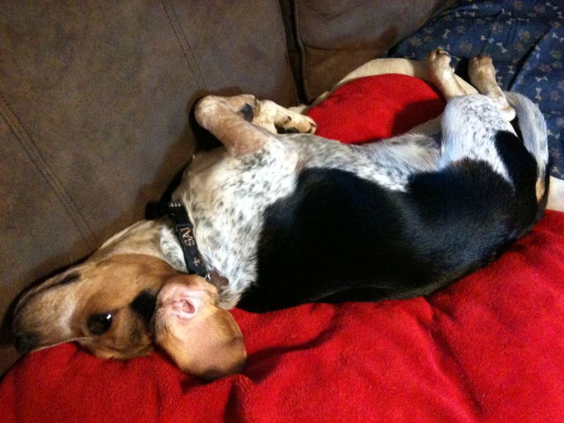 zoey2011-040.JPG
