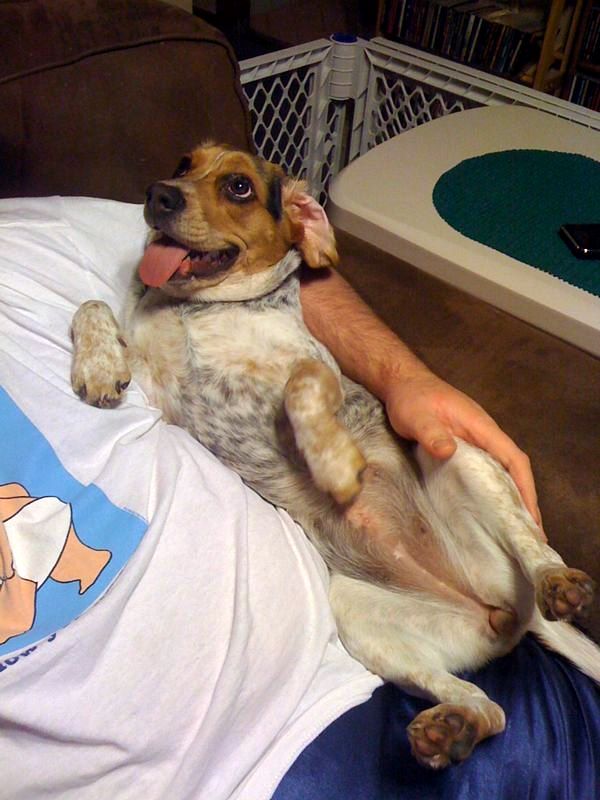 zoey2011-041.JPG