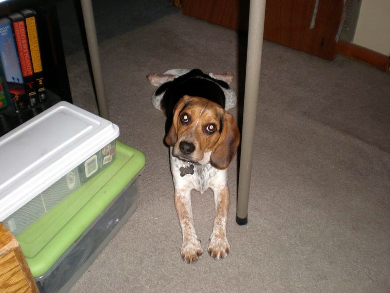 zoey2011-054.JPG