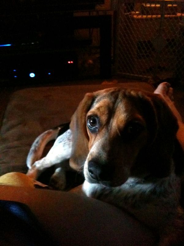 zoey2011-056.JPG