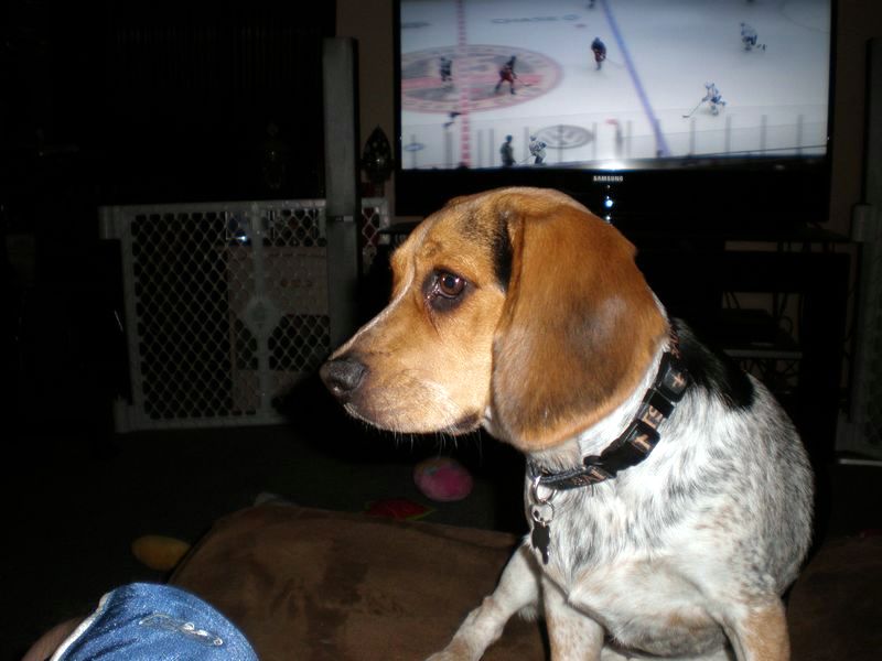 zoey2011-057.JPG