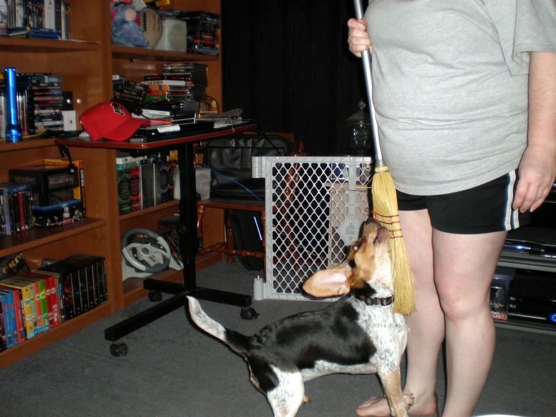 zoey2011-058.JPG