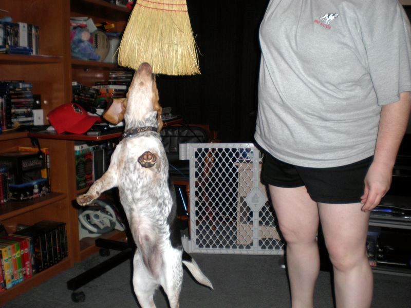zoey2011-059.JPG