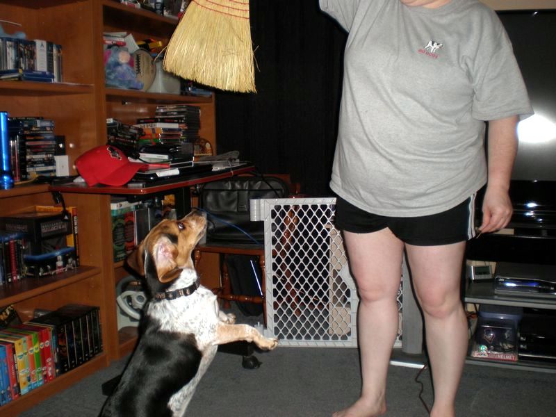 zoey2011-061.JPG