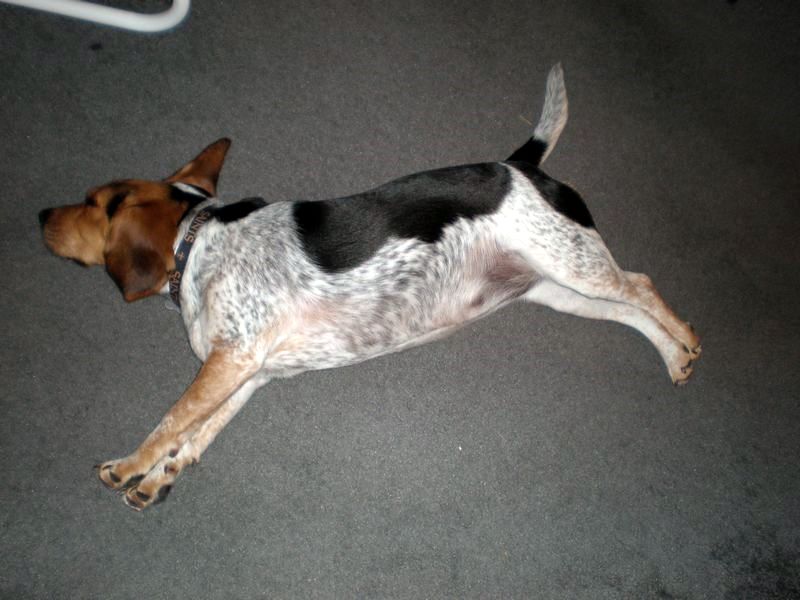 zoey2011-064.JPG