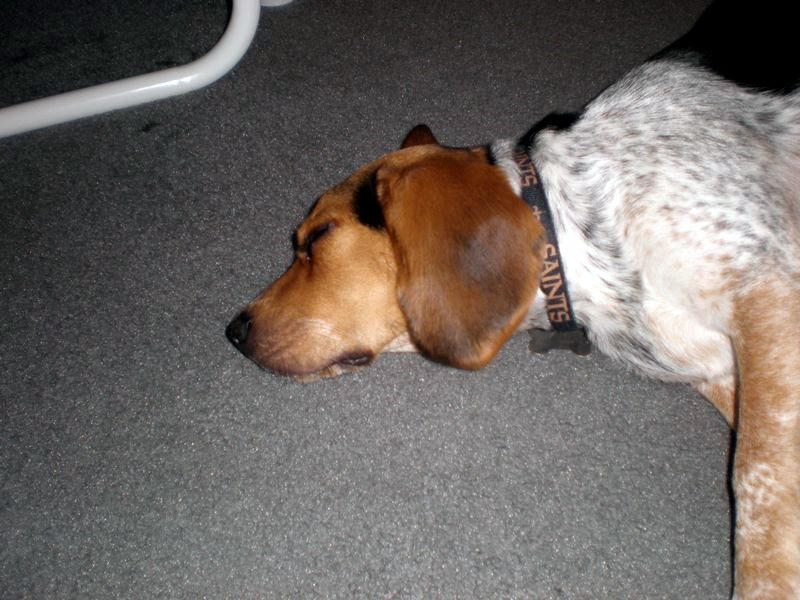 zoey2011-065.JPG