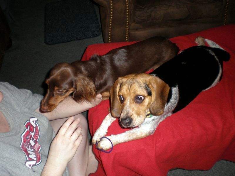 zoey2011-068.JPG