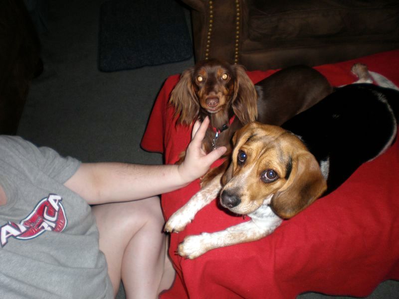 zoey2011-069.JPG