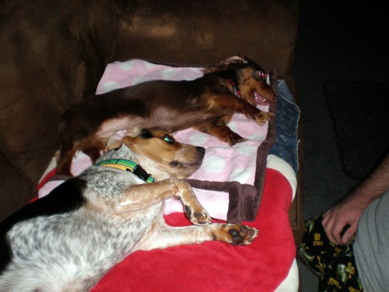 zoey2011-070.JPG