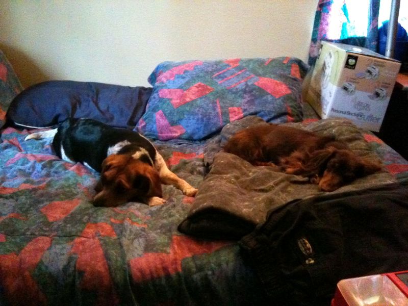 zoey2011-075.JPG