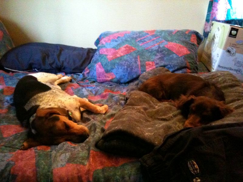 zoey2011-077.JPG