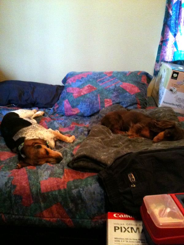 zoey2011-080.JPG