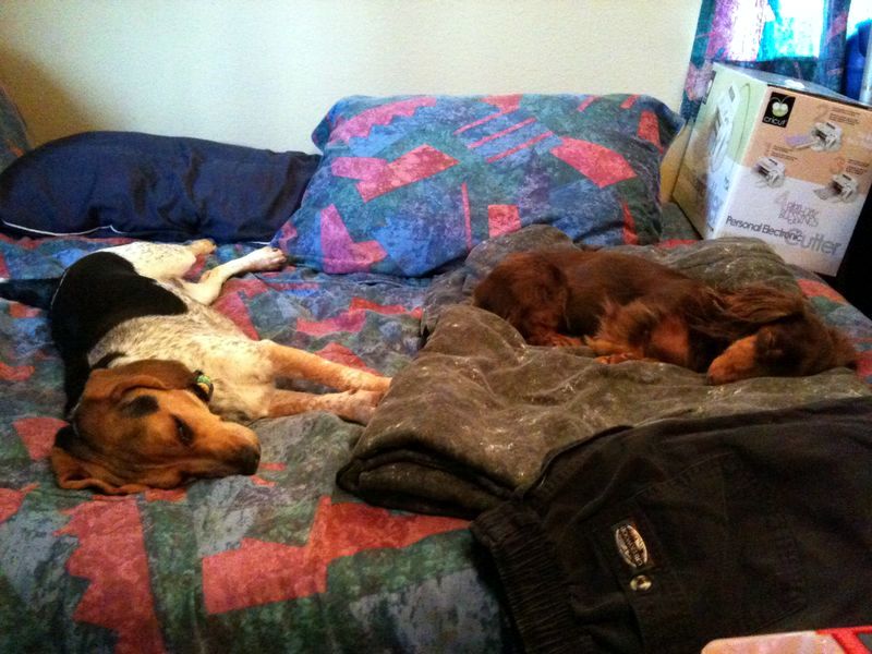 zoey2011-081.JPG