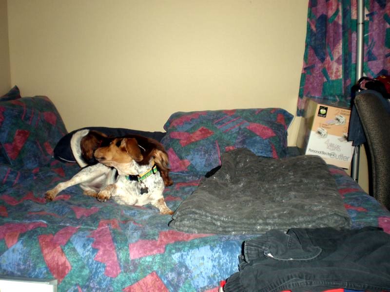 zoey2011-082.JPG