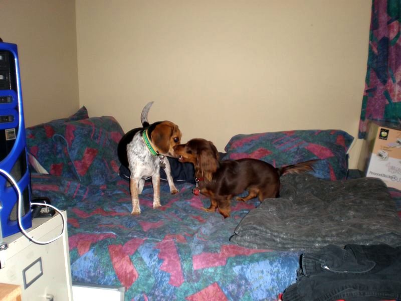 zoey2011-084.JPG