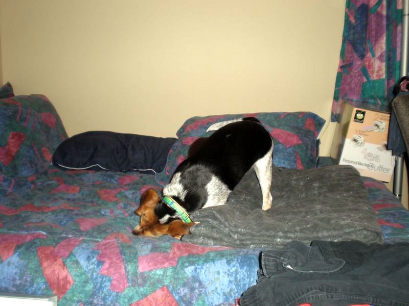 zoey2011-088.JPG