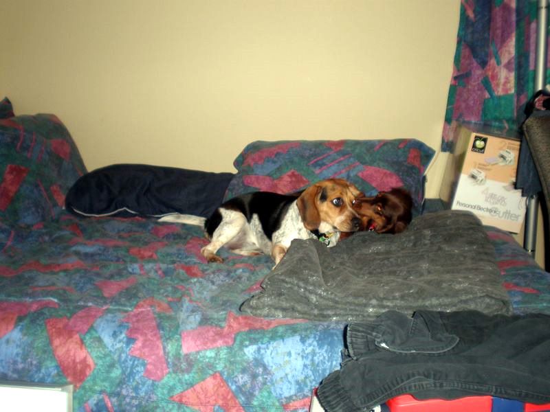 zoey2011-089.JPG