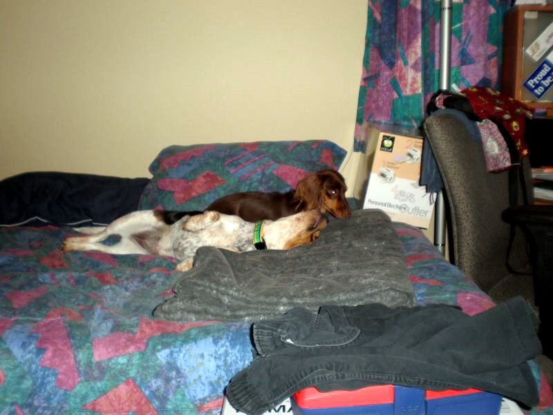 zoey2011-090.JPG