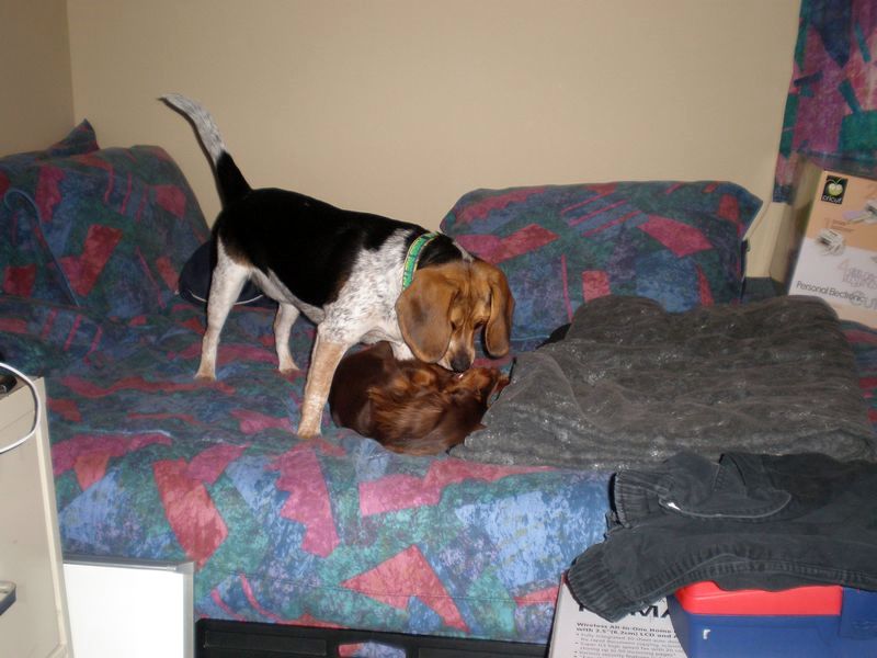 zoey2011-091.JPG