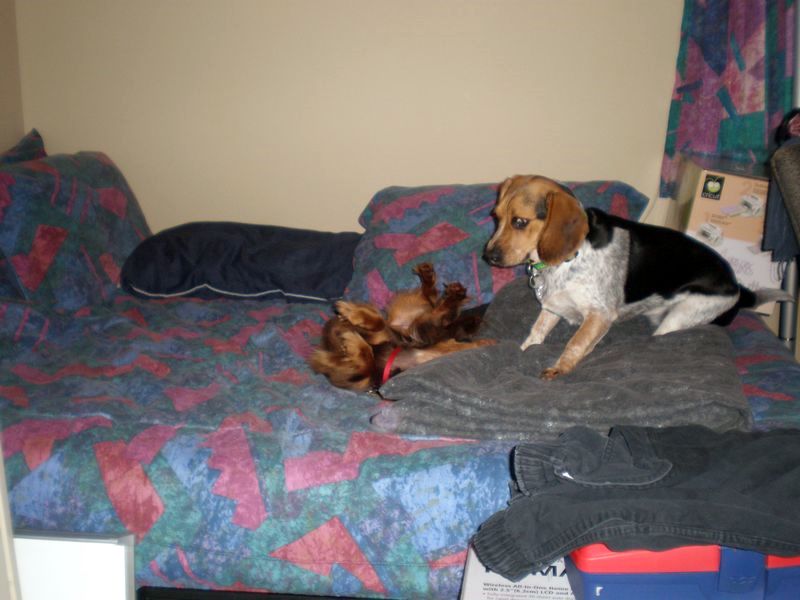 zoey2011-094.JPG