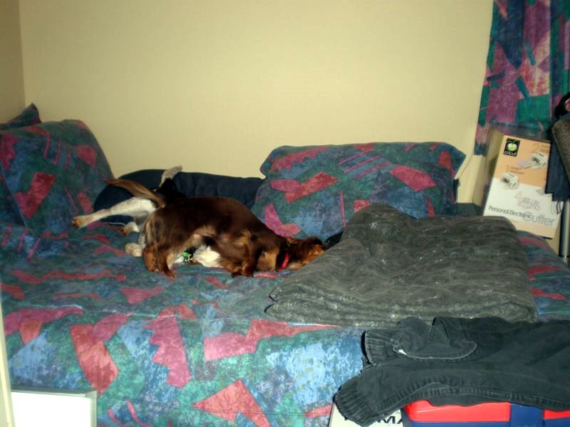 zoey2011-096.JPG