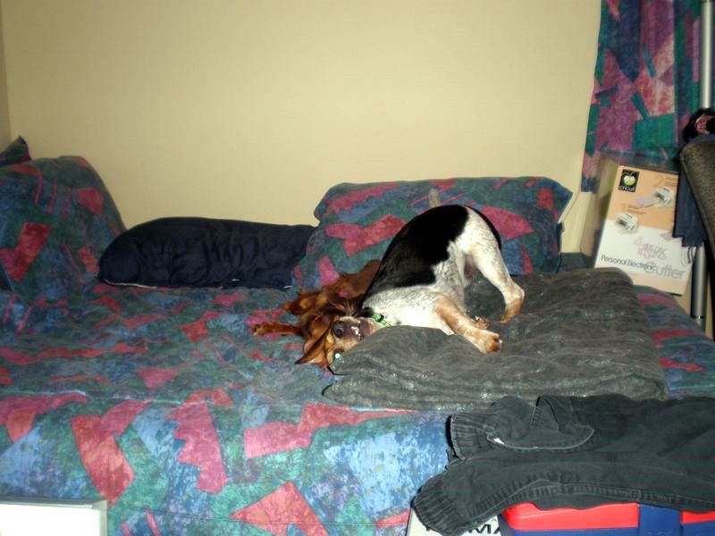zoey2011-097.JPG