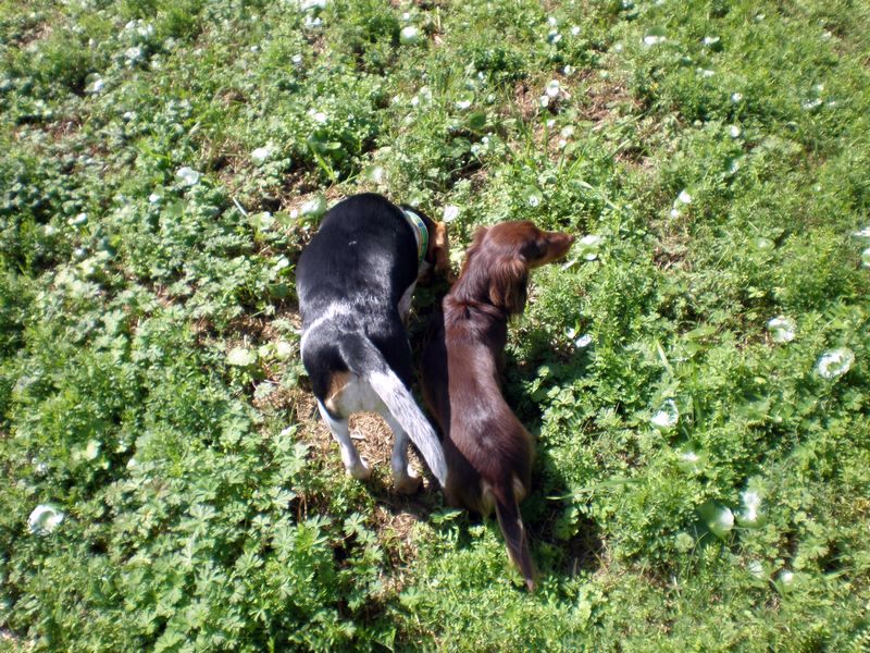 zoey2011-105.JPG