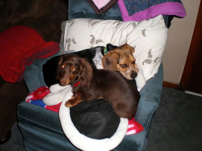 zoey2011-112.JPG