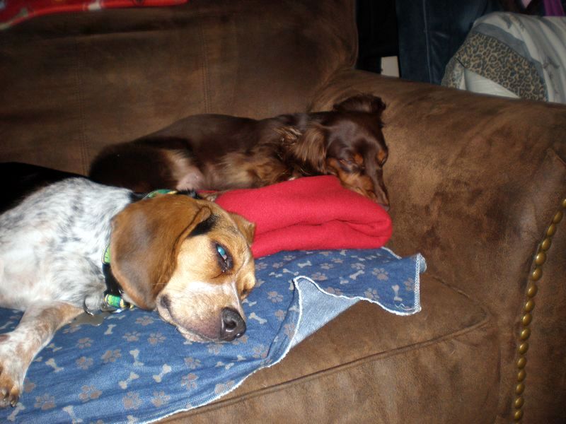 zoey2011-118.JPG