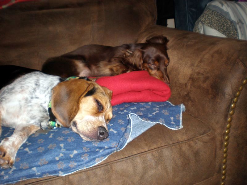 zoey2011-119.JPG