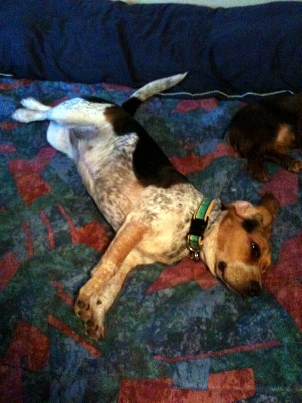 zoey2011-126.JPG