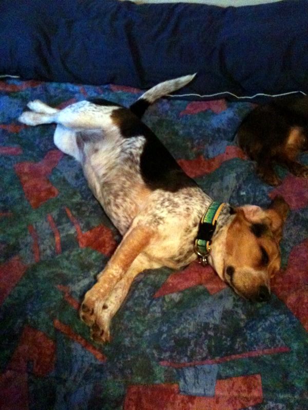 zoey2011-127.JPG