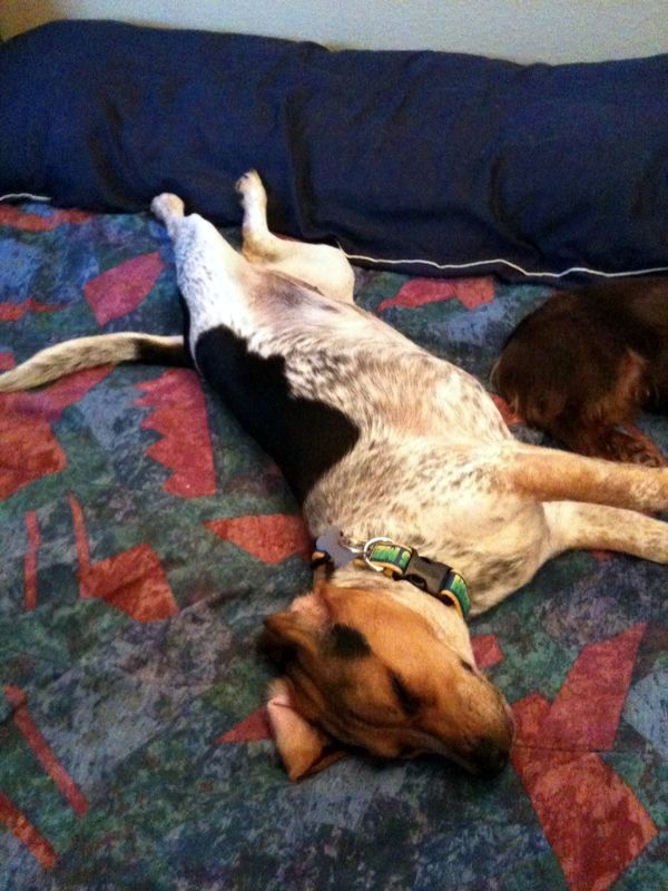 zoey2011-132.JPG