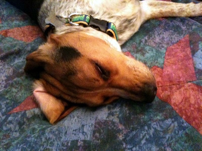 zoey2011-135.JPG