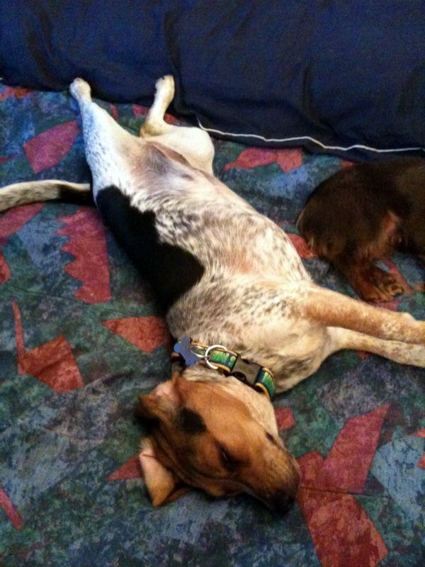 zoey2011-136.JPG