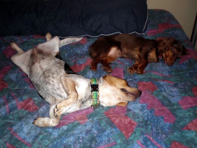 zoey2011-138.JPG