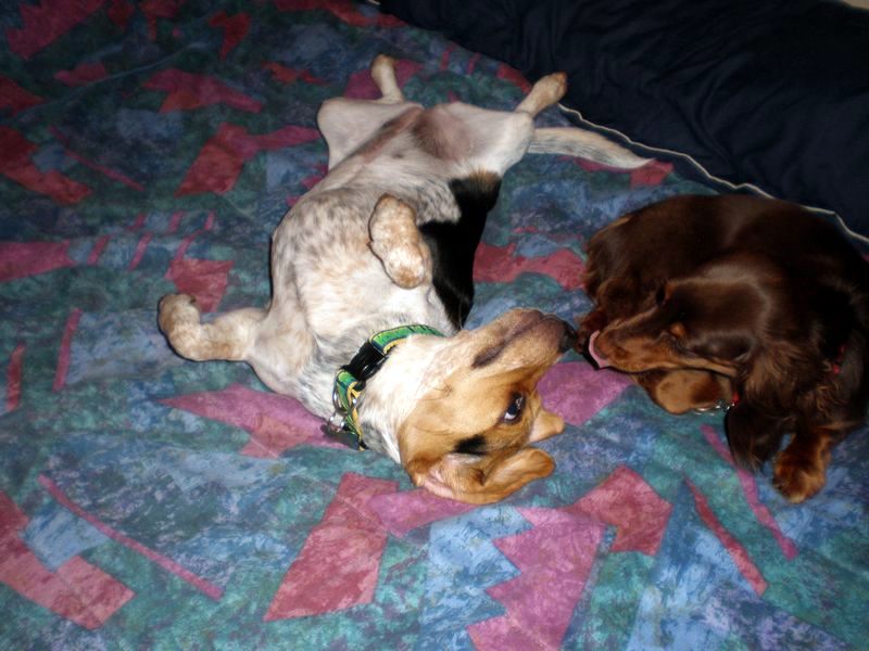 zoey2011-140.JPG