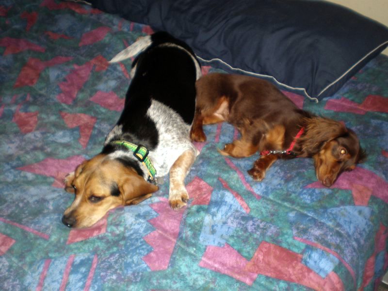 zoey2011-141.JPG