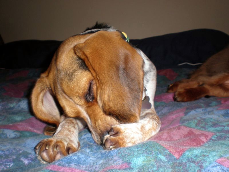 zoey2011-150.JPG