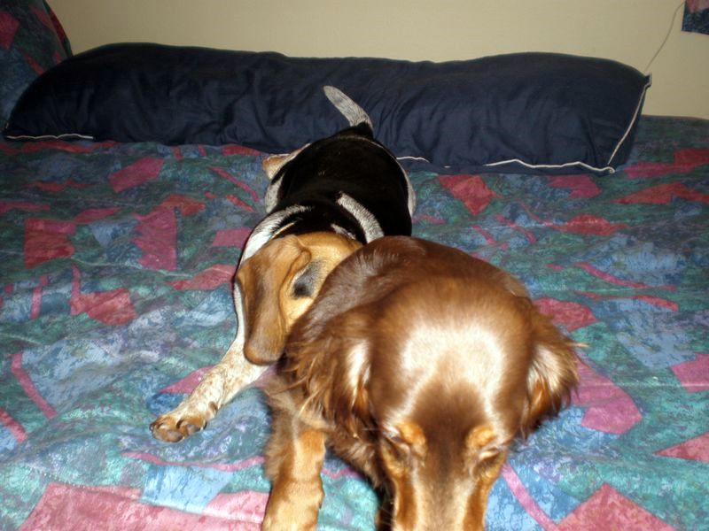zoey2011-154.JPG