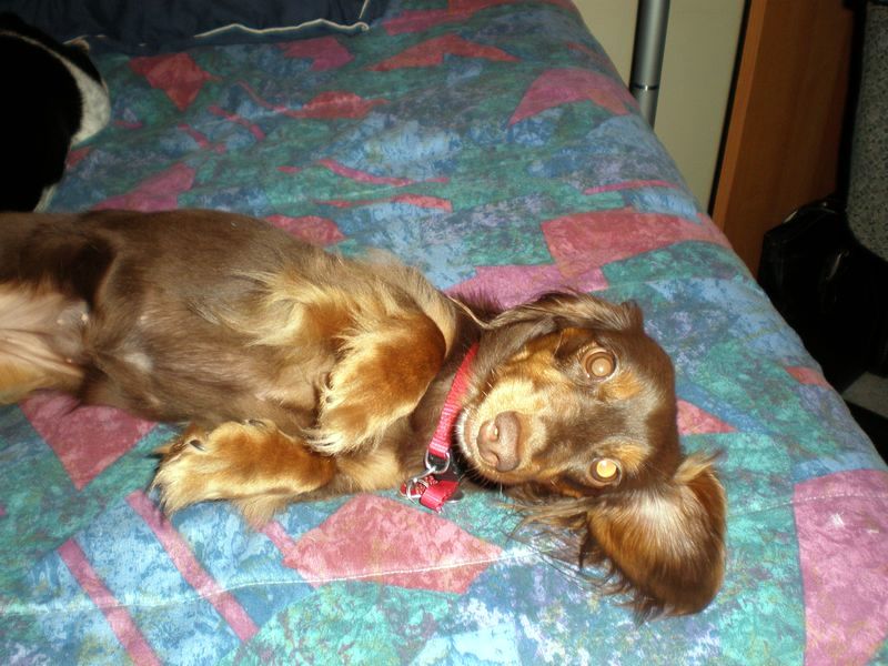 zoey2011-156.JPG