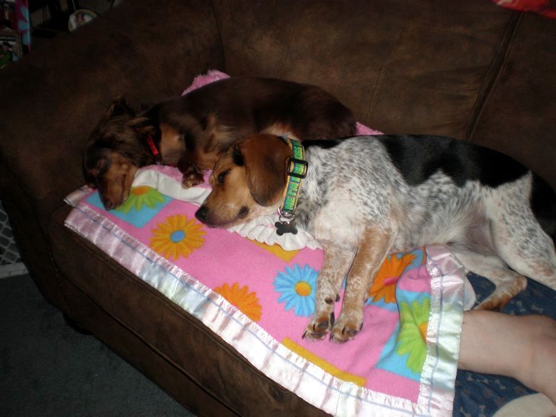 zoey2011-159.JPG